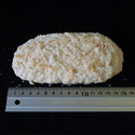 EASTBEE 三元豚 ロース トンカツ 120g × 20枚 ( 2.4kg / とんかつ / 揚げ物 )