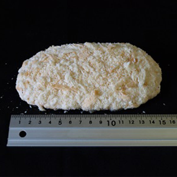 EASTBEE 三元豚 ロース トンカツ 120g × 20枚 ( 2.4kg / とんかつ / 揚げ物 )