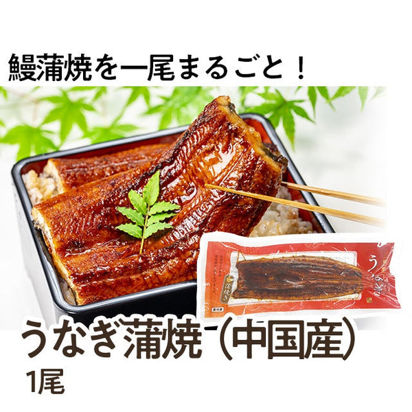 うなぎ 蒲焼 1尾 ( 鰻 / ウナギ / 蒲焼き / 真空パック / かば焼き )