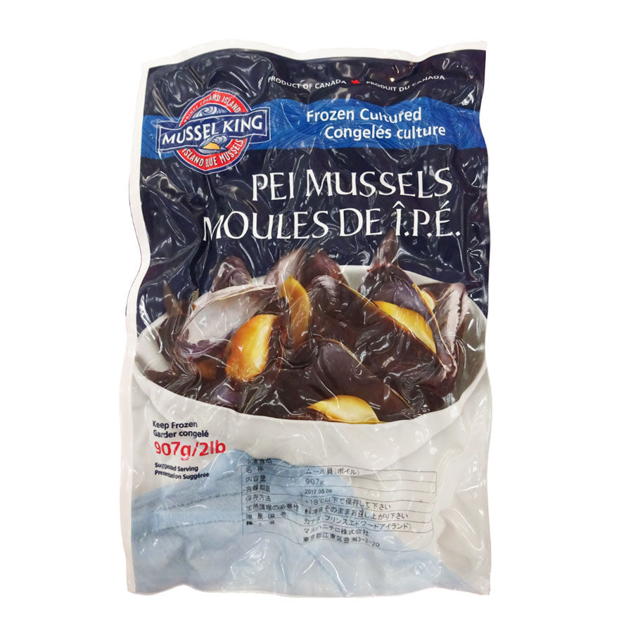 ・受付中・　海　波　エアープランツ　リメ缶　貝殻　貝　シェル　多肉　フルオーダー Z－153 蘭本体（B） | 製品詳細 | シーピー化成株式会社