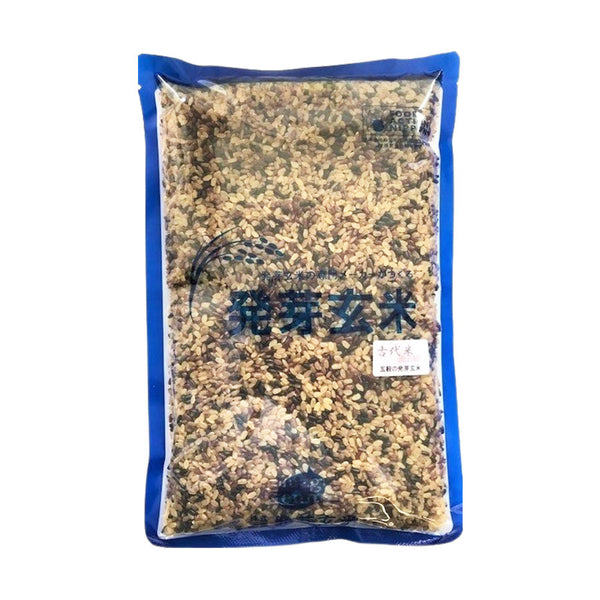 半生 発芽 玄米 古代米 ブレンド 1kg