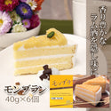 冷凍 五洋食品 モンブラン 40g×6個入り