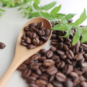 【 コーヒー 】 フェアトレード 有機 珈琲 ダーク 豆 300g ( 業務用コーヒー / トーホーコーヒー / 本格 )
