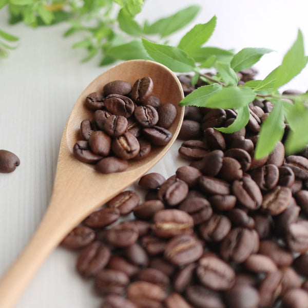 【 コーヒー 】 フェアトレード 有機 珈琲 ダーク 豆 300g ( 業務用コーヒー / トーホーコーヒー / 本格 )