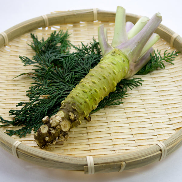 ミコー食品 おろしたてわさび 330g ( 山葵 / ワサビ )