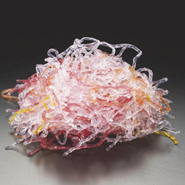 海の宝石 海藻麺 5色ミックス 500g