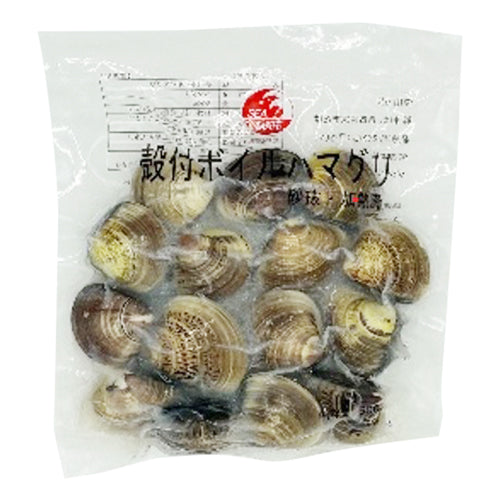 ノースイ ボイル殻付はまぐり 500g ( 蛤 / ハマグリ )