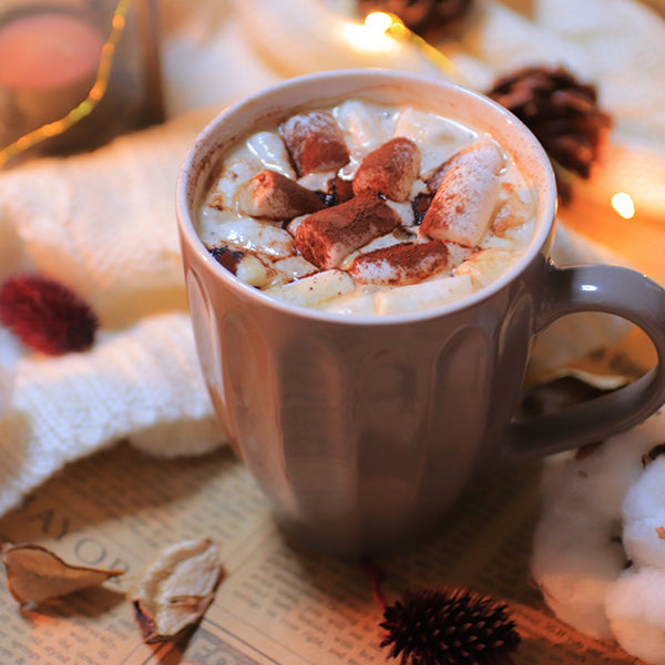 ローヤル ココアパウダー 400g ( 生チョコ / トリュフ / ティラミス / 製菓材料 )