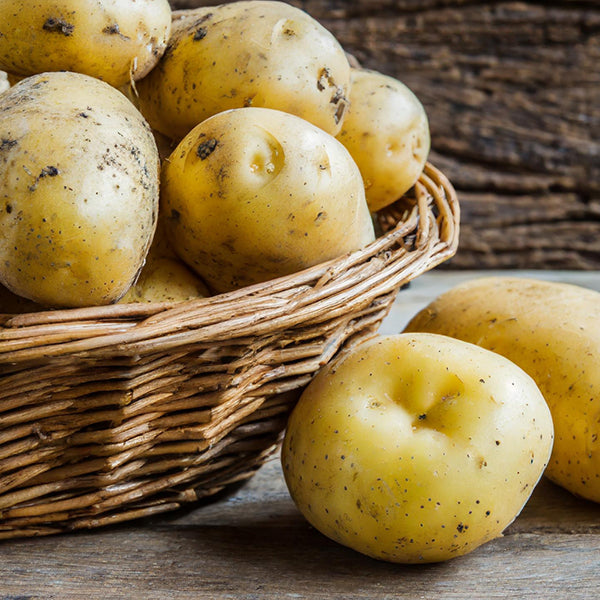 マッケイン カントリーウェッジポテト 1kg ( フライドポテト / ポテトフライ )