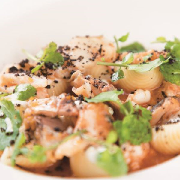 ディチェコ コンキリエ リガーテ 500g ( ショート パスタ / 貝形 / No50 / 乾麺 / シェル )