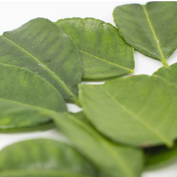 アライド カフィアライムリーフ 250g ( こぶみかんの葉 / バイマックルー )