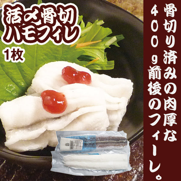 活〆骨切 ハモ フィーレ 1枚 ( はも / 鱧 / フィレ / 骨切り済み )