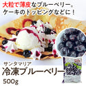 サンタマリア 冷凍 ブルーベリー 500g