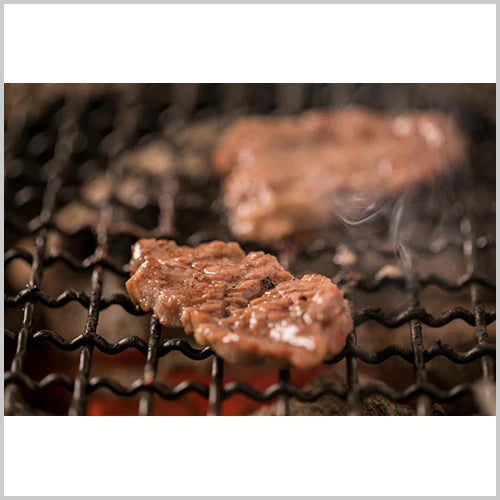 熟成 旨加工 牛 ハラミ 1kg