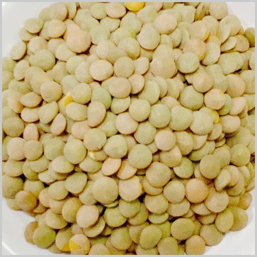 レンテル 500g ( レンズ豆 / イタリア料理 / インド料理 )