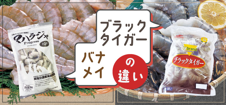 えびの違い、ご存じですか？