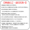 【 早割 / A-プライス限定 】オリジナル厳選洋風おせち（ 二段重 / 31品目 / 冷凍おせち / 送料無料 ）