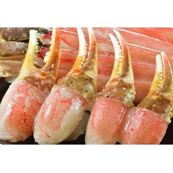 ボイル ズワイカニ 爪 殻付き 16/20 1kg ( ずわいがに / 蟹 / 蟹爪 / リングカット )