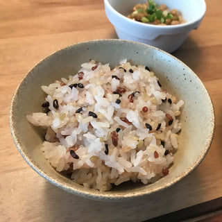 半生 発芽 玄米 古代米 ブレンド 1kg