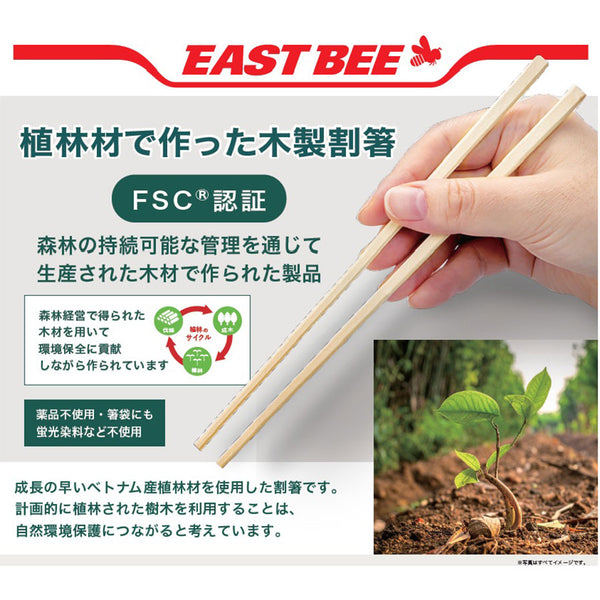 割り箸 EASTBEE 植林材で作った 木製 割箸 500膳 ( 割り箸 / お箸 / 箸