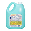 花王 ハイターE 5kg ( 漂白 / 洗剤 / 無香料 / まとめ買い割引 )