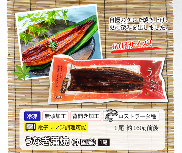 うなぎ 蒲焼 1尾（約 155g） ( 鰻 / ウナギ / 蒲焼き / 真空パック