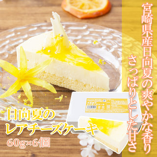 五洋食品 日向夏レアチーズケーキ 360g(60g×6個)