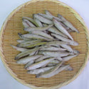 ニチレイ カナダ産 スメルト 2Sサイズ 1kg ( にじわかさぎ / レインボースメルト )