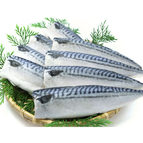 マルハニチロ さば フィーレ 15枚 ( 1.5kg / サバ / 鯖 )