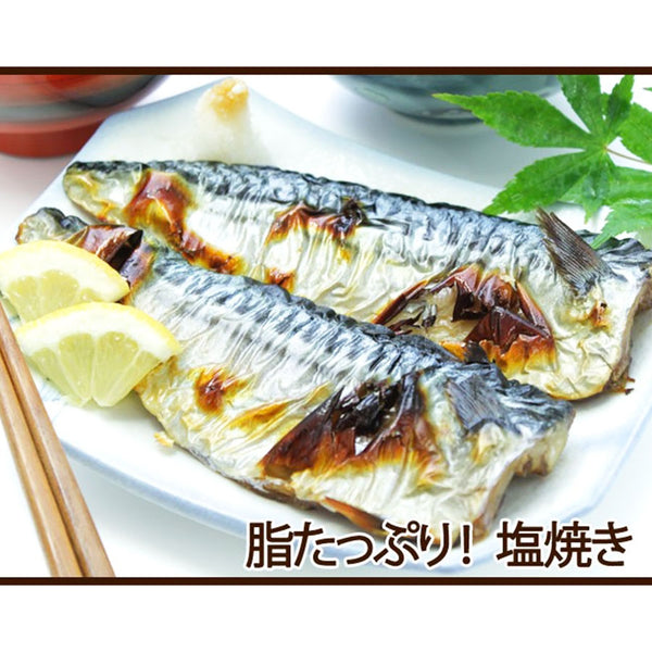 マルハニチロ さば フィーレ 15枚 ( 1.5kg / サバ / 鯖 )