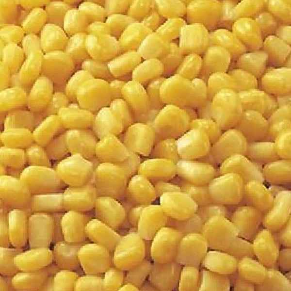 ニチレイフーズそのまま使えるスーパースイートコーン 500g ( とうもろこし / 野菜 )