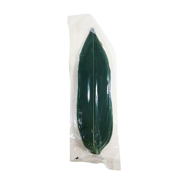 青笹 50枚 ( 軸無 / 便利笹 / カット可能 )