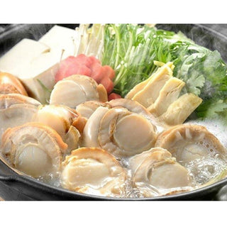 ボイル 帆立 500g ( 11/15 / ほたて / ホタテ / 貝類 )