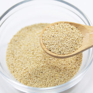 ギャバン ポピーシード 100g