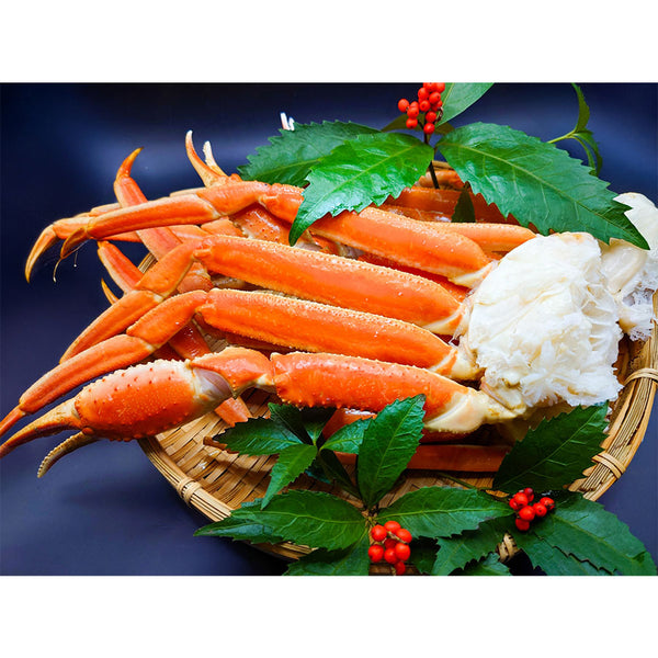 ボイル ズワイガニ 化粧箱 2kg ( 3L / かに / カニ / 蟹 )