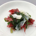 EASTBEE 彩り 海藻 ミックス 100g