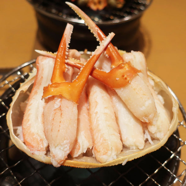 紅ズワイ カニ爪 Lサイズ 500g ( カニ / かに / 蟹 )