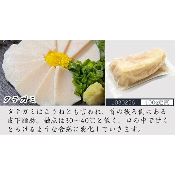 辰美食品 冷凍馬刺し タテガミ 100g