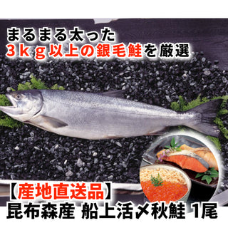 【北海道フェア】(産地直送商品)昆布森産 船上活〆秋鮭 1尾