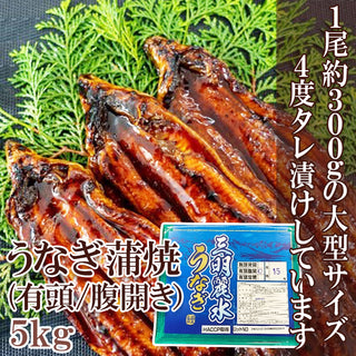 うなぎ蒲焼 5kg ( 30尾サイズ / 1枚 約330g / 有頭腹開 /中国産 / 化粧箱入り / 15尾入り ) | A-プライス |  A-プライスオンラインショップ