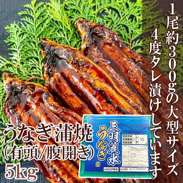 うなぎ蒲焼 5kg ( 30尾サイズ / 1尾 約330g / 有頭腹開 /中国産 / 化粧箱入り / 15尾入り / 1尾 約1,320円 )