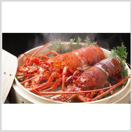 活〆冷凍国産伊勢海老（千葉県）300/400ｇ 3kg