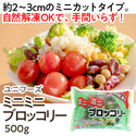 ユニフーズ ミニミニ ブロッコリー 500g ( 約2~3cmカット / バラ凍結 / 自然解凍可能 )