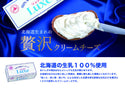北海道乳業 クリームチーズ LUXE (リュクス) 1kg